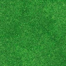 Unsere natur teppiche erhalten sie ungefärbt in unterschiedlichen beige und natur nuancen. Bedruckter Teppich B1 Gras Rasen Bedruckter Teppichboden B1 Messeteppiche Rips Pvc