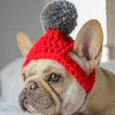 Dog Pom Pom Winter Knitted Hat For French Bulldogs French Bulldog Clothes Bulldog Dog Hat
