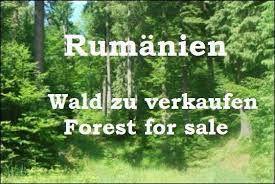 romania sale price 5 850 000 eur for sale 2 000 hectares of forest efg 12247 tp romenia 2 000 hectares de floresta para v immobilien rumanien immobilienkauf