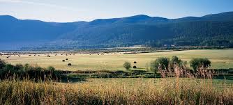 100 mile house is investing in local and independent business. 100 Mile House Cariboo Cariboo Chilcotin Coast Travel British Columbia