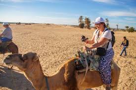 Throughout his racing career he was owned by charles wyndham. Camel Laying Stock Photos And Images 123rf