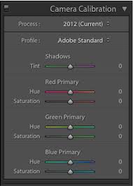 Doesnt lightroom show the shot settings and file info in detail ? Camera Calibration Lightroom Panel Tips For Perfecting Skin Tones Color Grading Profile Correction Lightroom Workflow Photo Editing Lightroom Lightroom Tricks