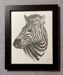 Beautiful Zebra Drawing