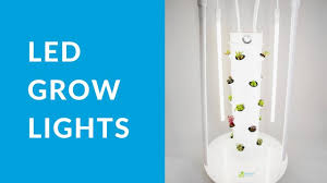 Then for a quality product you wouldn't expect it to be. How To Use Your Tower Garden Led Light Kit Youtube