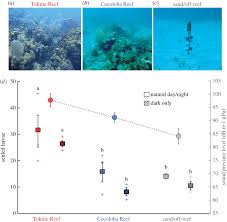 What provides a home for more than 25% of ocean life but only takes up 1% of the ocean floor? Soundscapes Influence The Settlement Of The Common Caribbean Coral Porites Astreoides Irrespective Of Light Conditions Royal Society Open Science