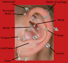 Meanwhile, a piercer in a tattoo shop has to apprentice for years. Ear Piercing Faq Newlife Tattoos