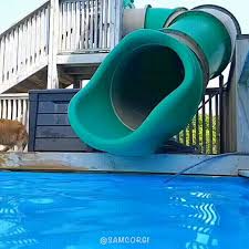 Image result for tbn:ANd9GcQzWo5lBIPWKebvy1oRkgh5c-dE8XiN3VXZR7m1YtZmdakAs_N-Mhco6w:http://www.cqham.ru/flower.gif