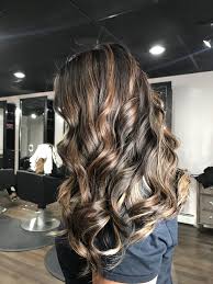 Asian Hair Color Fall Inspired Hair Black Hair Color Hair Inspo Color Dark Hair With Highlights Hair Color Asian