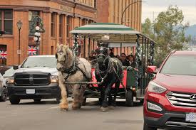 Astute observers familiar with previous victorias will note there are no goods stockpiles involved in this system. Reader Poll Do You Agree With Bc Spca S Recommendation To Ban Horse Drawn Carriages From Downtown Victoria Streets Victoria News