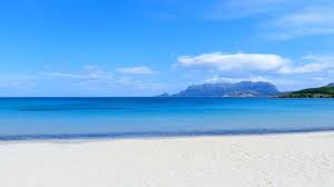 Combien d'hôtels de cette région (sardaigne) sont inscrits sur booking.com ? Olbia Sardegna Pittulongu Olbia Instagram Outdoor