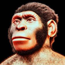 Viene chiamato così perché i primi ritrovamenti fossili di questi ominidi sono stati fatti nella valle di neander (in germania). Homo Naledi L Uomo Delle Stelle E La Nuova Datazione Storia Controstoria