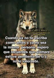 Pin De Cecilia Ortega En Frases Citas Serias Frases Sabias Diario De Un Lobo
