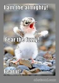 Stay updated with awesome pics on facebook. 31 Funny Animal Pics With Sayings Ideas Funny Animals Cute Animals Funny