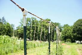 Read along to learn our favorite materials and methods to build a simple and inexpensive trellis. How To Support Tomato Plants Lady Lee S Home