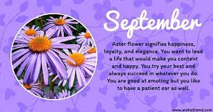 September Birth Flower September Flowers Birth Month Flowers Birth Flowers