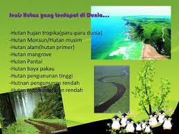 Hutan hujan tropik adalah hutan hujan terbesar di indonesia dimana didalamnya terdapat banyak flora dan fauna. Kepupusan Flora Flauna Ppt Download