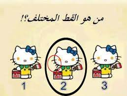 القط المختلف أكتب اسمك على الصور