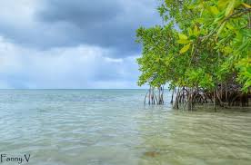 Ilet Fajou Guadeloupe Guadeloupe