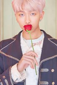 bts with a red rose rm