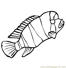 Free download 39 best quality aye aye coloring page at getdrawings. Humphead Cichlid Coloring Page For Kids Free Other Fish Printable Coloring Pages Online For Kids Coloringpages101 Com Coloring Pages For Kids