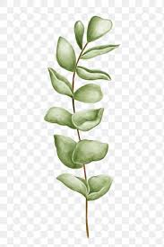 Hand Drawn Green Leaves Transparent Png Premium Image By Rawpixel Com Noon Green Leaf Background Flower Illustration Green Leaves
