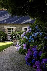 Pin By Nelia On Great Gardens Cottage Garden Southern Garden Plants