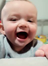 Corgi nicknames and play