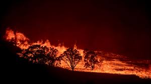 Wildfires are burning out of control near australia's national capital, canberra, and across surrounding new south wales state, with endangered residents warned to prepare to evacuate 1 year ago wildfire creates state of emergency in australian capital it's the first fire emergency for australian capital territory area since 2003. Fire Fallout How Ash And Debris Are Choking Australia S Rivers Yale E360