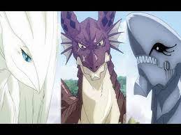 But fairy tail is set in a fantasy world so presumably there aren't any rules like that. Fairy Tail All Dragons Youtube