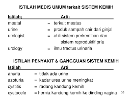 Sistem urinaria adalah sistem organ yang berfungsi untuk menyaring dan membuang zat limbah dengan cara menghasilkan urine. Soal Kasus Sistem Perkemihan Studi Indonesia