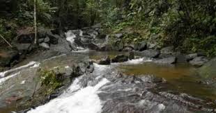 Pin On Water Fall