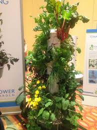 Growing flowers hydroponically in stonewool … перевести эту страницу. Grow A Variety Of Greens Lettuces Herbs Edible Flowers And Vegetables Without Dirt Weeding And Only 10 Of Th Edible Flowers Tower Garden Hydroponics Diy