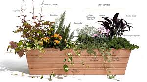 Whether you&#39;re an urban dweller with limited garden. How To Build And Maintain The Perfect Window Box Washingtonian Dc