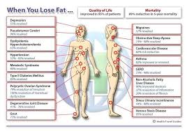 Calorie Burn Chart