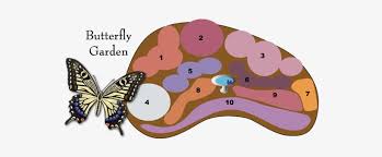 Check spelling or type a new query. Butterfly Garden Design 561x260 Png Download Pngkit