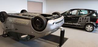 Zvonuri zugrav zoran mamic zootehnic. ExperienÅ£ele De La Academia Titi Aur Sunt Un Cadou Excelent Hoinaru Ro