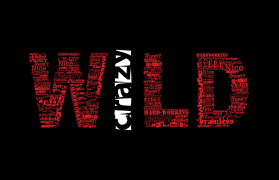 Red And White Wild Text Humor Quote Simple Background Black Typography Minimalism 4k Wallpa Black Hd Wallpaper Iphone Words Wallpaper Simple Backgrounds Green and red triangle logo wallpaper, geometry. pinterest