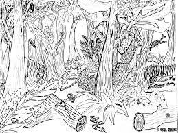 Maybe you would like to learn more about one of these? Tropical Rainforests Coloring Pages Coloring Home