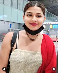 Beautiful Purple Rose