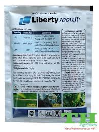 Liberty 100WP