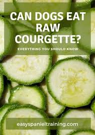 For instance, can dogs eat zucchini and is it good or bad for them? Can Dogs Eat Raw Courgettes Everything You Should Know Easy Spaniel Training