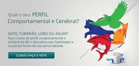 Resultado de imagem para TESTE PERFIL