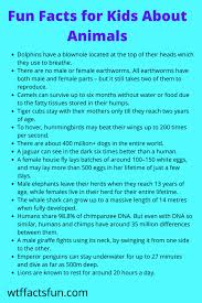 You know why a glass frog is known as such? 26 Best Fun Facts For Kids About Animals Fun Facts