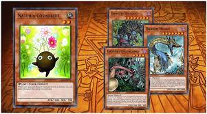 Deck naturia deck 2020 from mlcuong ts. Naturia Danger Combo Deck Ygoprodeck