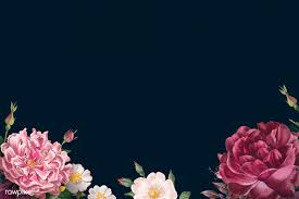 Black Background With Rose Border Beautiful Hand Drawn Rose Themed Border Vector Free Image By Rawpixel Com Roses Drawing Vector Free Flower Backgrounds