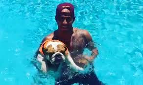 Lewis hamilton has been attacked on social media for forcing his dog to eat a vegan diet, with one person branding the move cruel. Watch Lewis Hamilton Shares Hilarious Video Of Dog Coco Learning How To Swim Celebrity News Showbiz Tv Express Co Uk