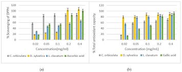 Image result for Jamesbrittenia fodina × huillana
