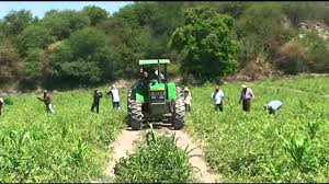 Aguascalientes durango guanajuato guerrero hidalgo jalisco mexico michoacan de ocampo morelos nayarit nuevo leon baja california oaxaca puebla queretaro de arteaga quintana roo san. Tuxcacuesco Jalisco Youtube