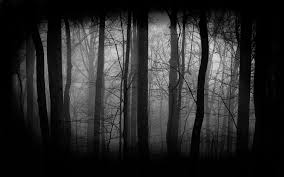 Halloween painted background, gothic, esoteric and mystic concept. 67 Spooky Forest