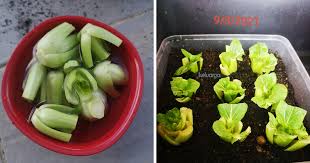 Resepi sardin roll yang rangup dan tidak lemau bahan untuk kulit 3 cawan tepung gandum 1 sudu makan tepung beras 1. Sardin Roll Frozen Buat Sekali Goreng Bila Bila Masa Mudah Sangat Keluarga